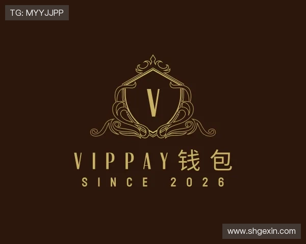 解读VipPay钱包